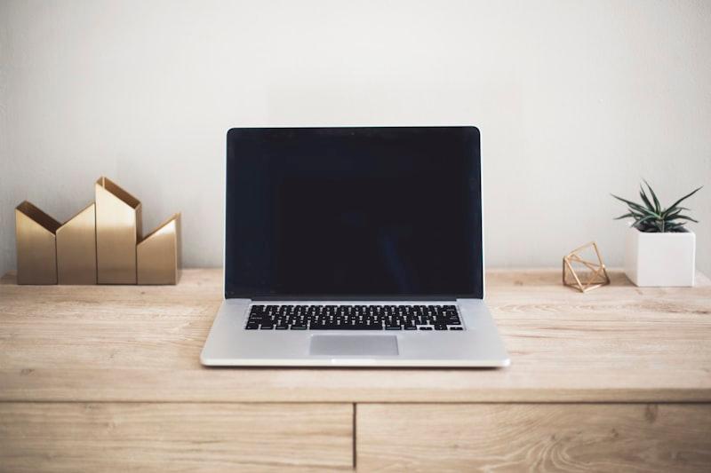 Pro Laptops & Workstations